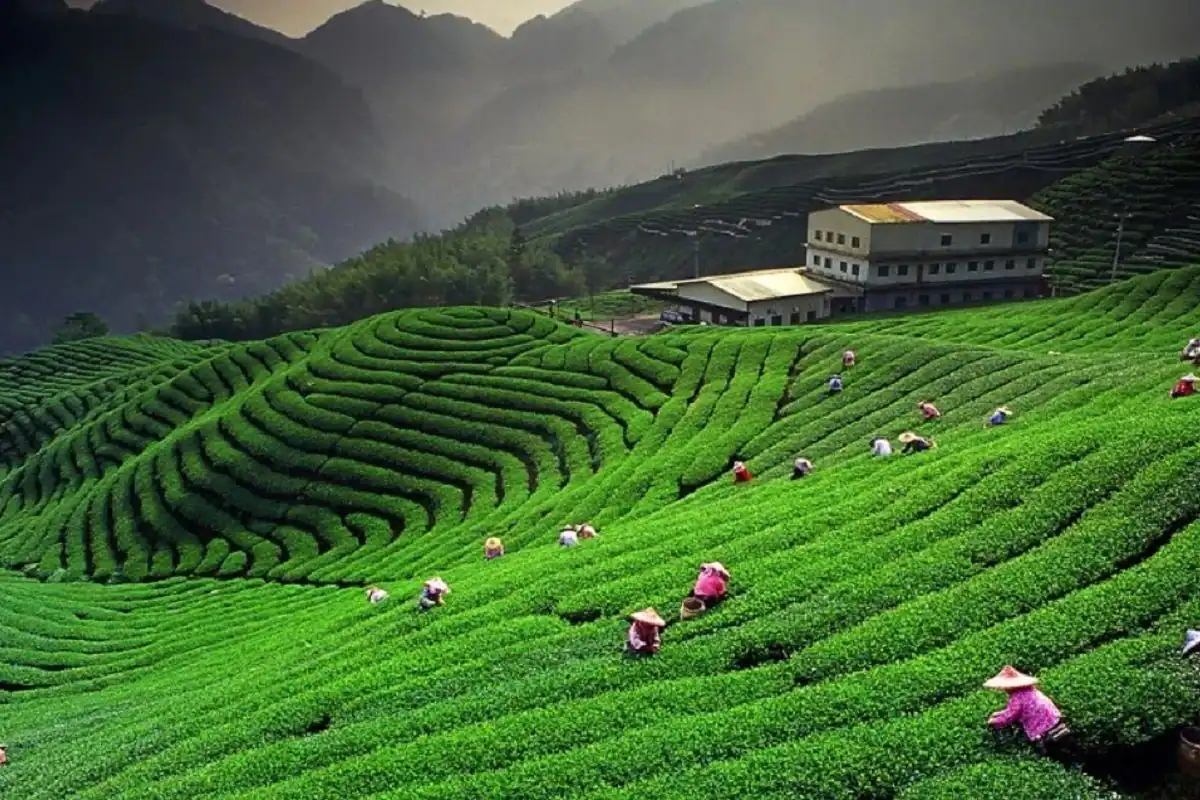 Uttarakhand Tour Packages